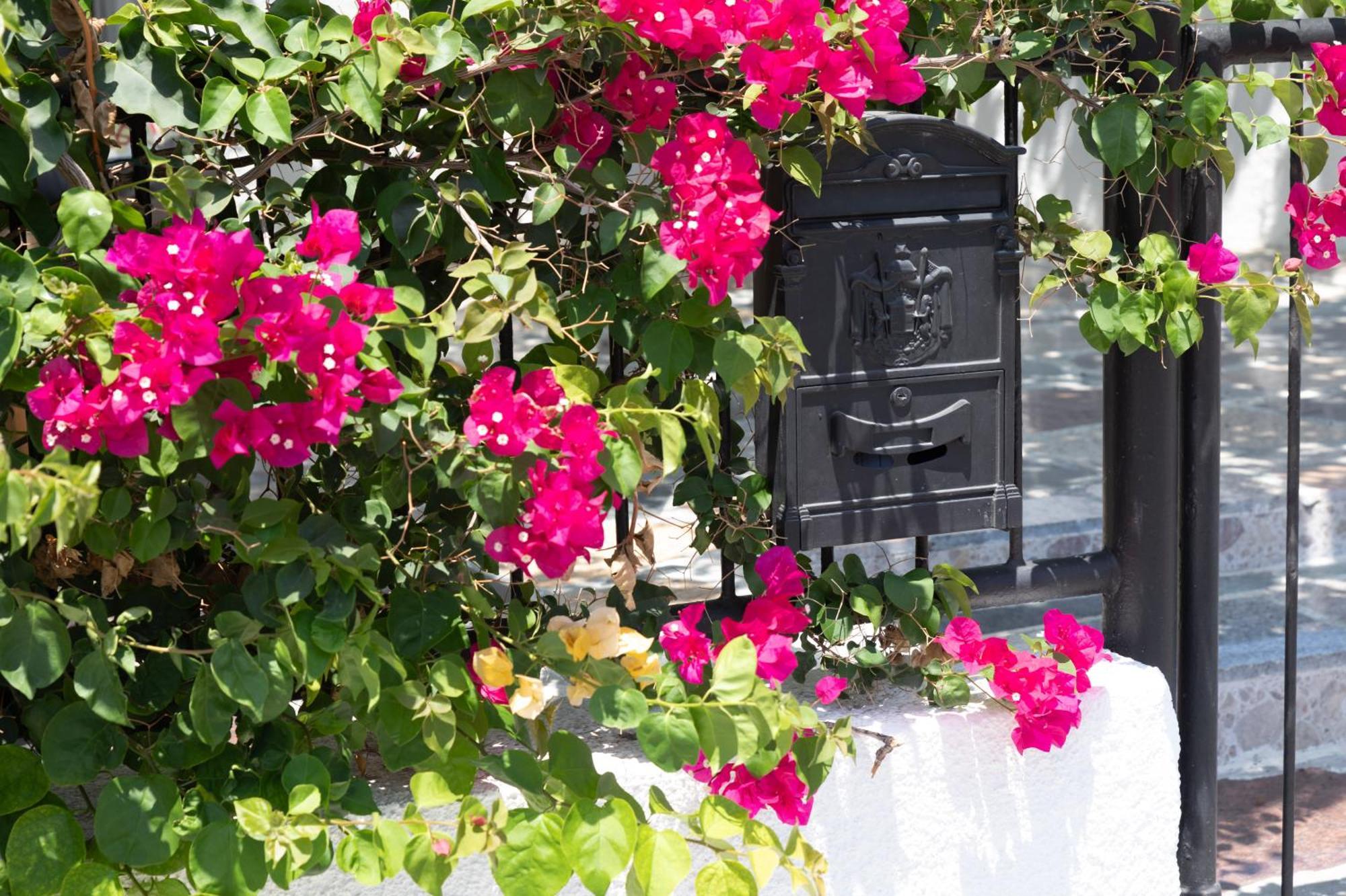 Limassol Akrotiri Beach Vine Cottage A Extérieur photo
